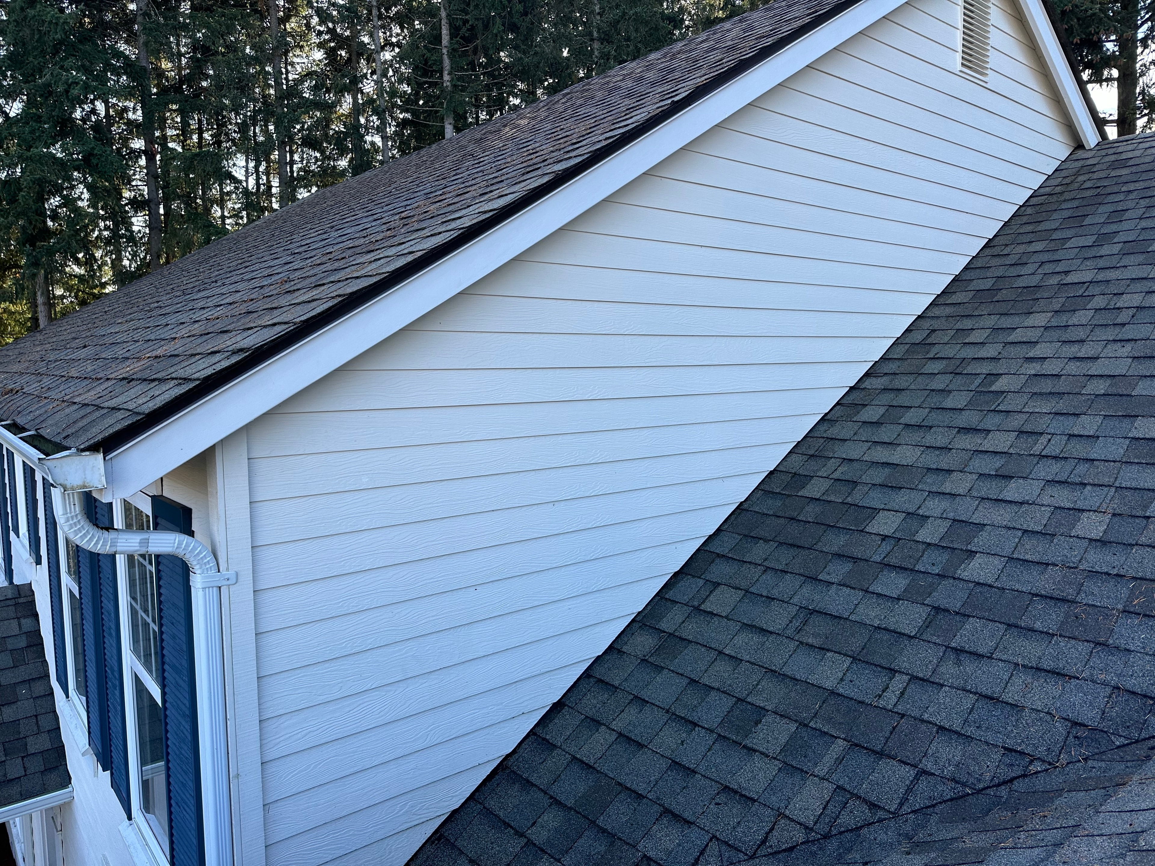 Residential shingle roof after soft wash cleaning — algae and staining removed